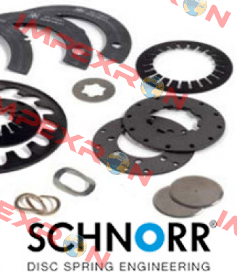 437 900 (pack x100) Schnorr