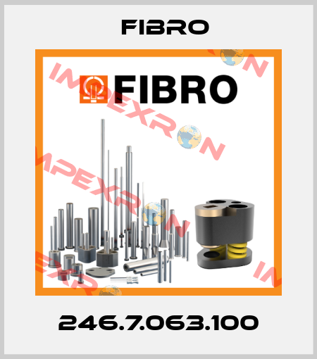246.7.063.100 Fibro