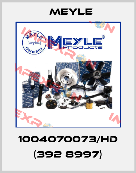 1004070073/HD (392 8997) Meyle
