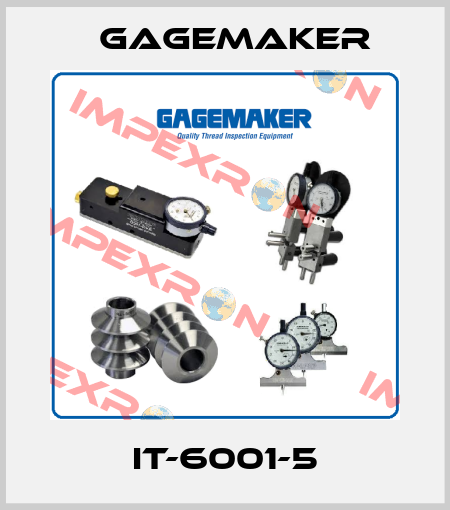IT-6001-5 Gagemaker