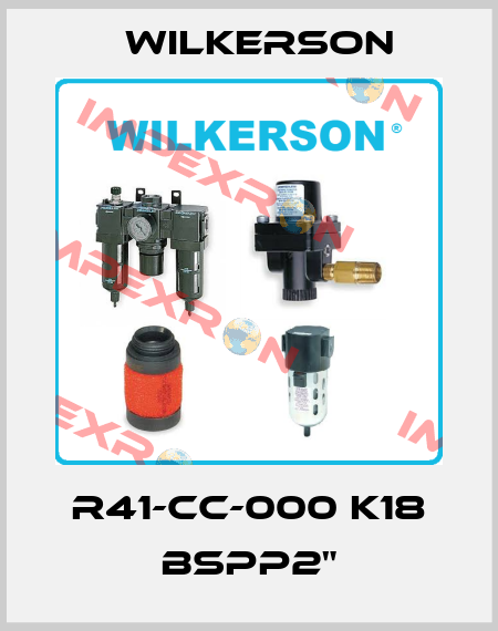 R41-CC-000 K18 BSPP2" Wilkerson