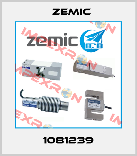 1081239 ZEMIC