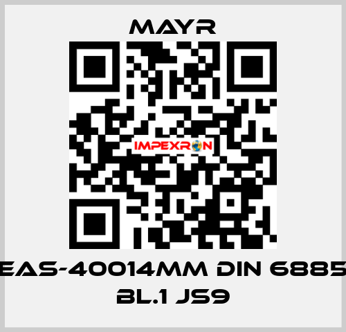 EAS-40014MM DIN 6885 BL.1 JS9 Mayr