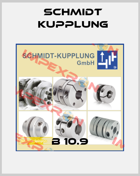 B 10.9 Schmidt Kupplung
