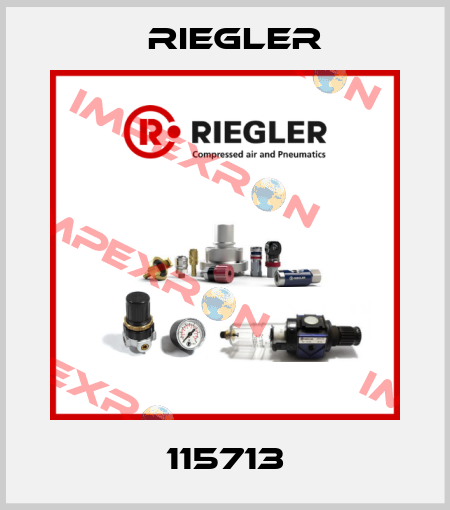 115713 Riegler