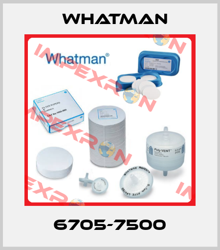 6705-7500 Whatman