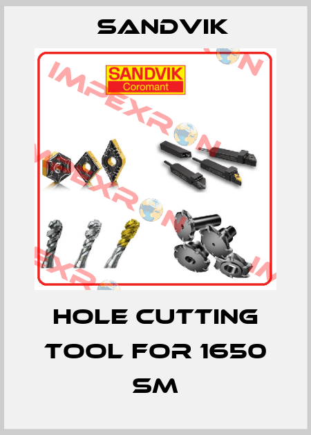 Hole cutting tool For 1650 SM Sandvik