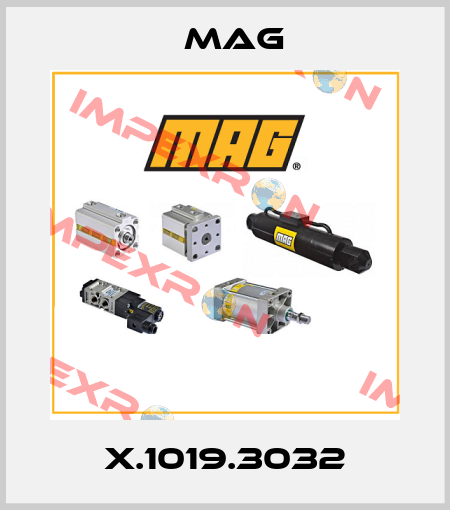 X.1019.3032 Mag