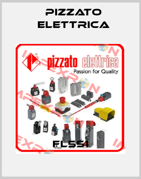 FL551 Pizzato Elettrica