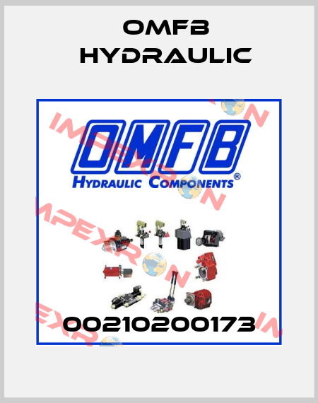 00210200173 OMFB Hydraulic
