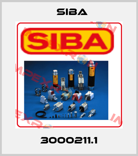 3000211.1 Siba