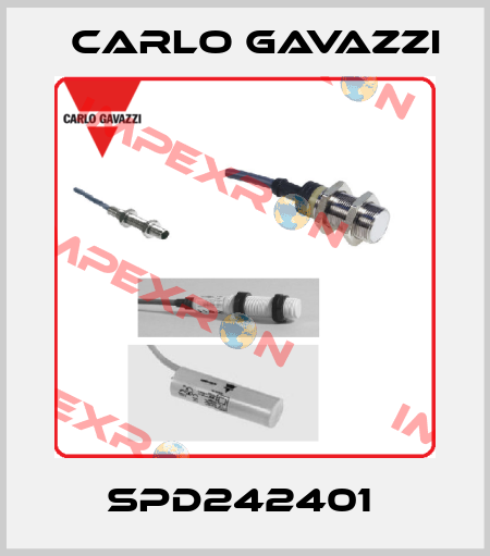 SPD242401  Carlo Gavazzi
