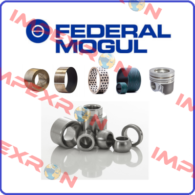 EGF20115-E40-Y INA Federal Mogul