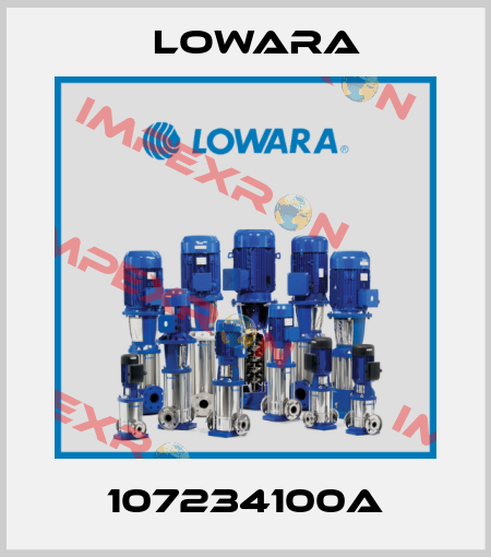 107234100A Lowara