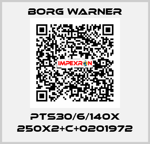 PTS30/6/140X 250X2+C+0201972 Borg Warner