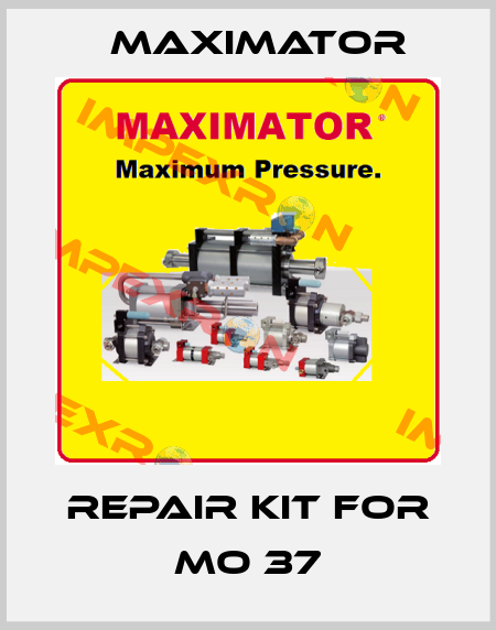 repair kit for MO 37 Maximator