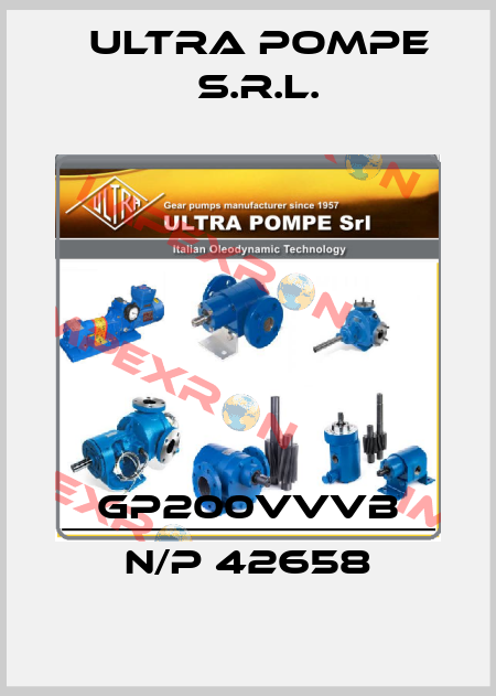 GP200VVVB N/P 42658 Ultra Pompe S.r.l.