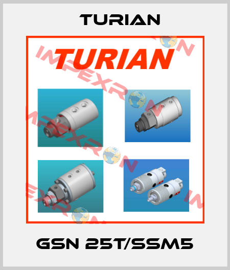 GSN 25T/SsM5 Turian