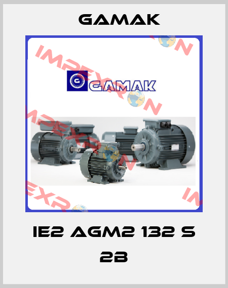 IE2 AGM2 132 S 2B Gamak