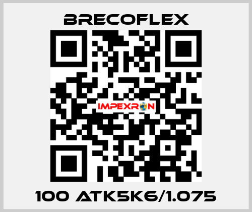 100 ATK5K6/1.075 Brecoflex