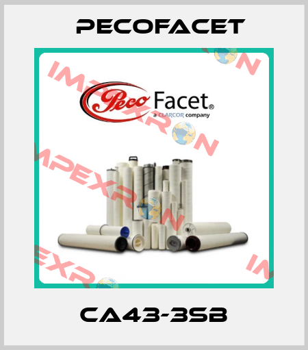 CA43-3SB PECOFacet