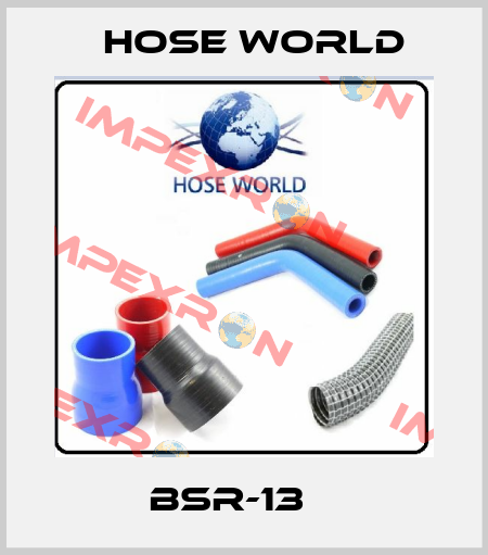 BSR-13    HOSE WORLD