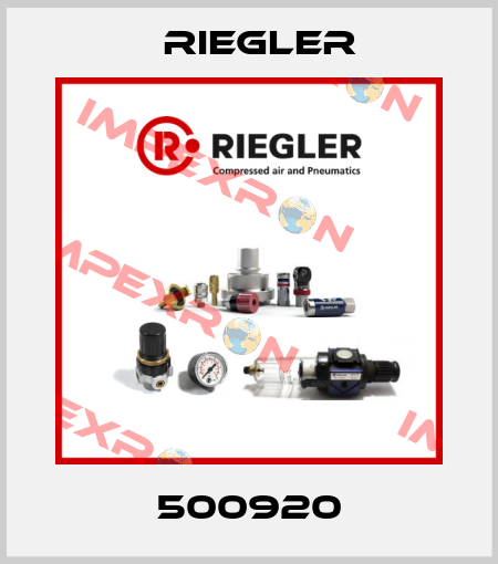 500920 Riegler