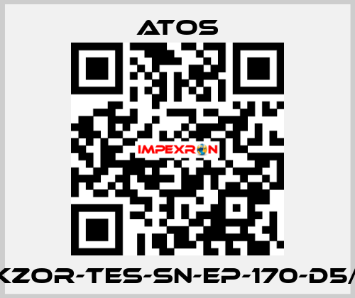 DKZOR-TES-SN-EP-170-D5/FI Atos