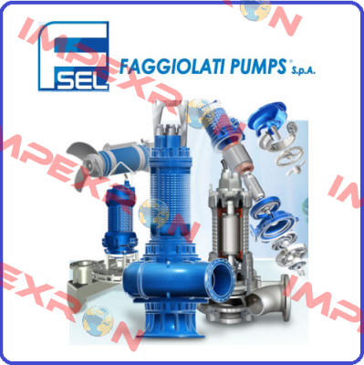 AJ10G409T30KA (1,5 KW) Faggiolati