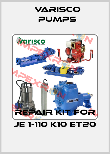 repair kit for JE 1-110 K10 ET20 Varisco pumps