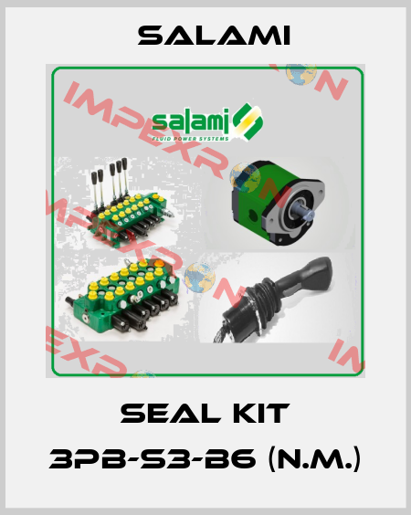 SEAL KIT 3PB-S3-B6 (N.M.) Salami
