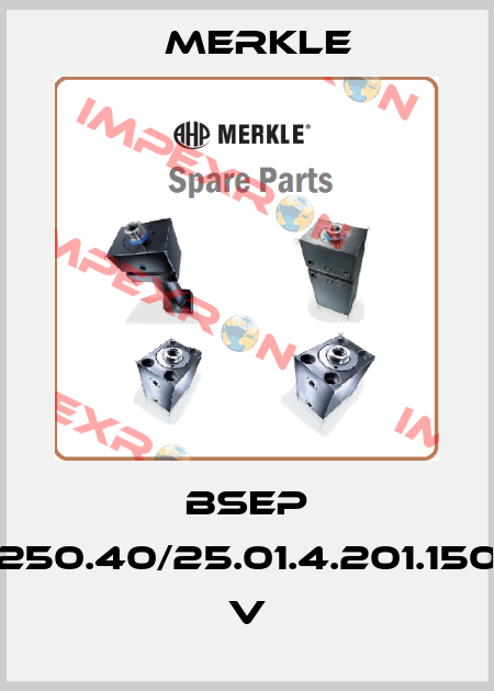 BSEP 250.40/25.01.4.201.150 V Merkle