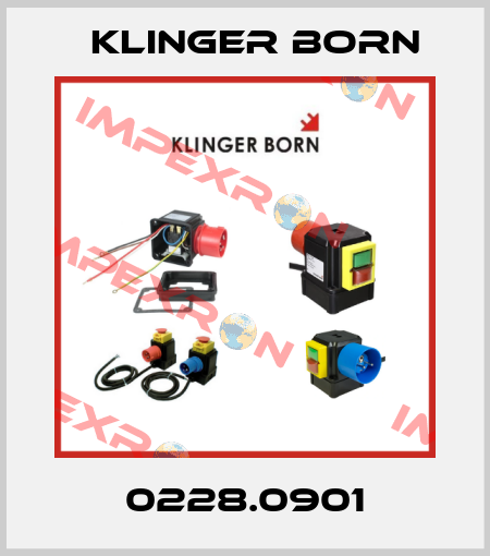 0228.0901 Klinger Born