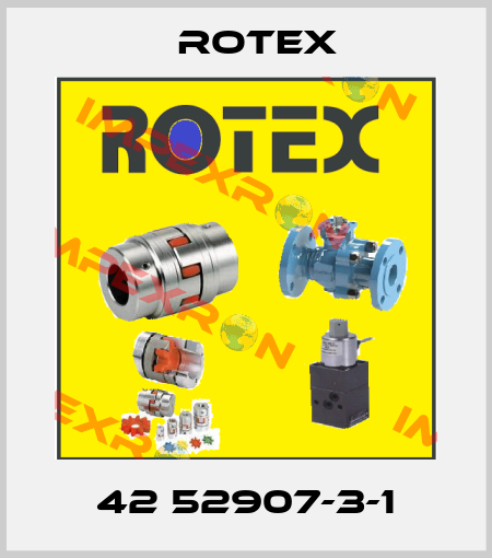 42 52907-3-1 Rotex