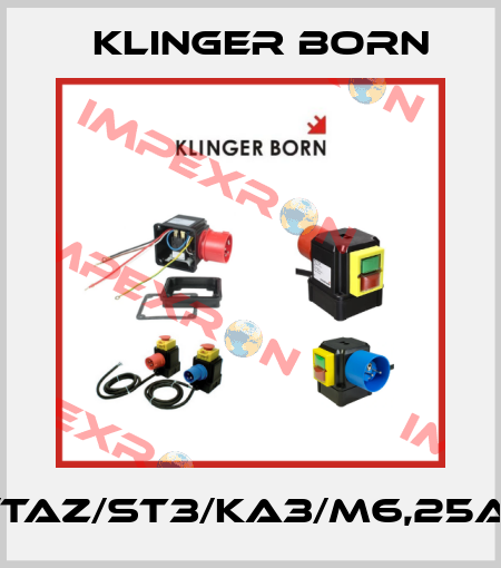K900/TAZ/ST3/KA3/M6,25A/KL-Pi Klinger Born