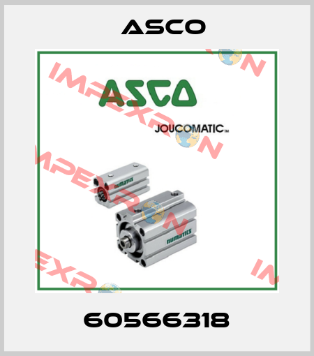 60566318 Asco