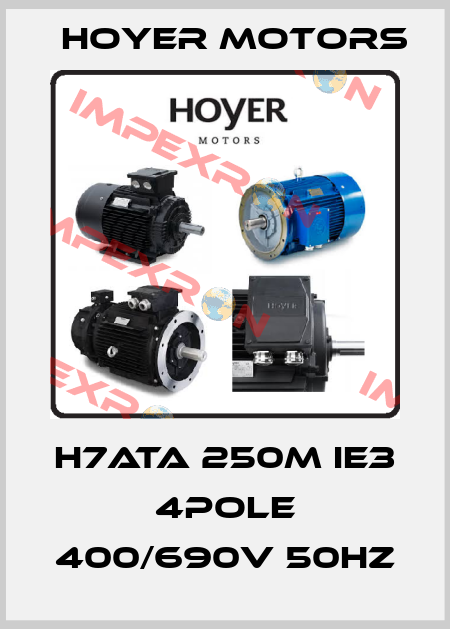 H7ATA 250M IE3 4pole 400/690V 50Hz Hoyer Motors