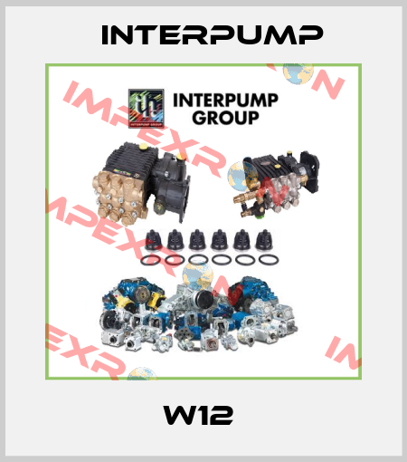 W12  Interpump