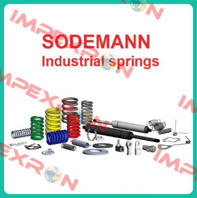 13110 Sodemann