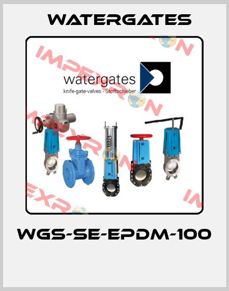 WGS-SE-EPDM-100  Watergates