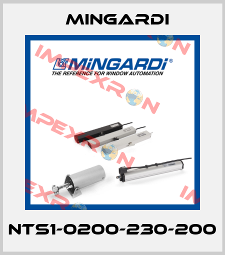 NTS1-0200-230-200 Mingardi