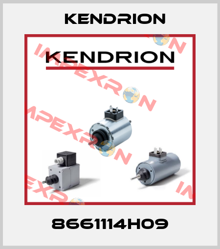 8661114H09 Kendrion