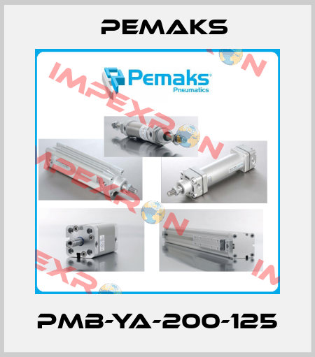 PMB-YA-200-125 Pemaks