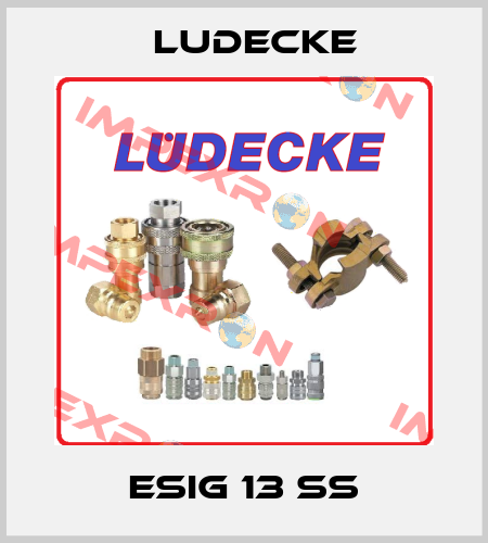 ESIG 13 SS Ludecke
