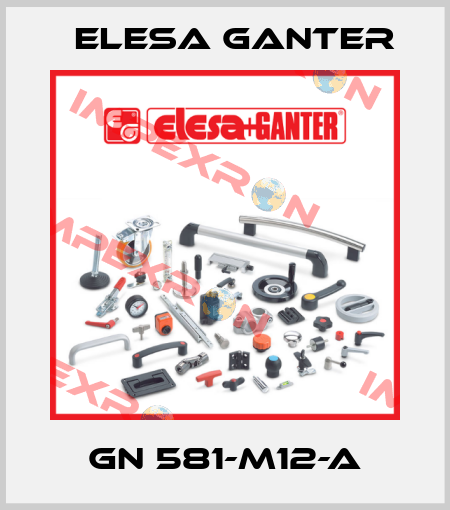 GN 581-M12-A Elesa Ganter