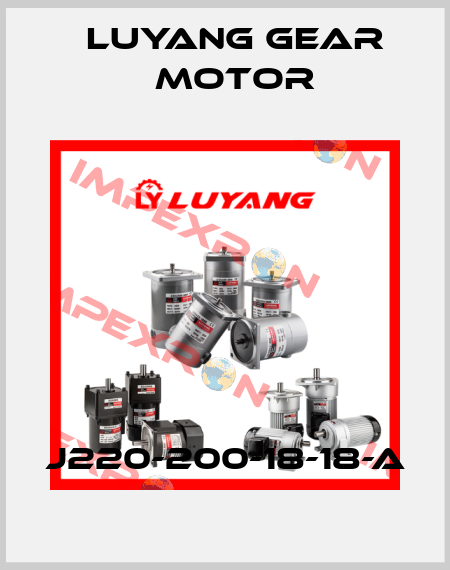 J220-200-18-18-A Luyang Gear Motor