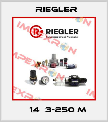 Ф 14Х3-250 M Riegler