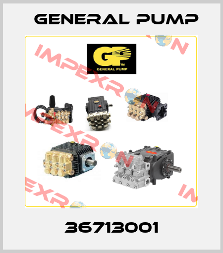 36713001 General Pump