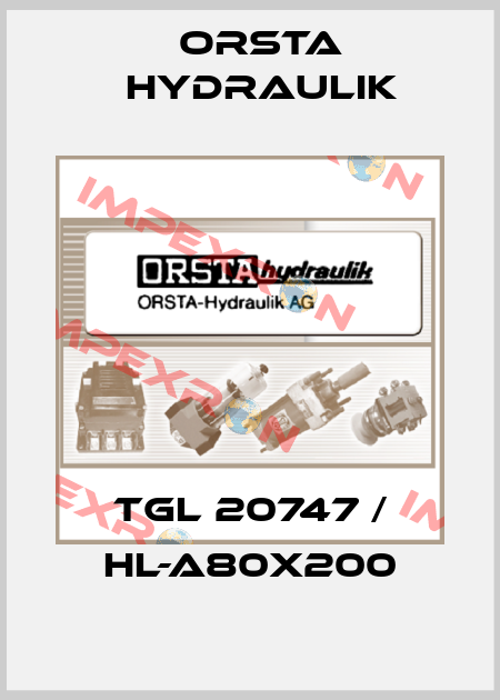 TGL 20747/02 10/80 /  80x200 Orsta Hydraulik