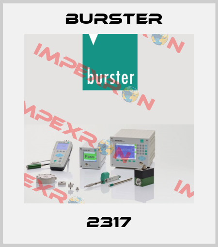 2317 Burster